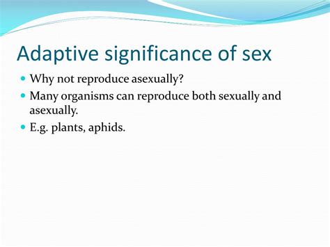 Ppt Chapter 16 Evolution Of Sex Powerpoint Presentation Free