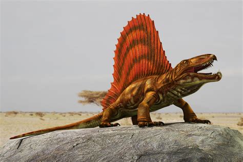 Dimetrodon By Fel05 On Deviantart