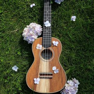 Ukelelistas playlist by Irene Blázquez Morcillo Spotify