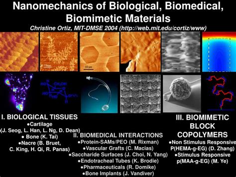 PPT - Nanomechanics of Biological, Biomedical, Biomimetic Materials ...