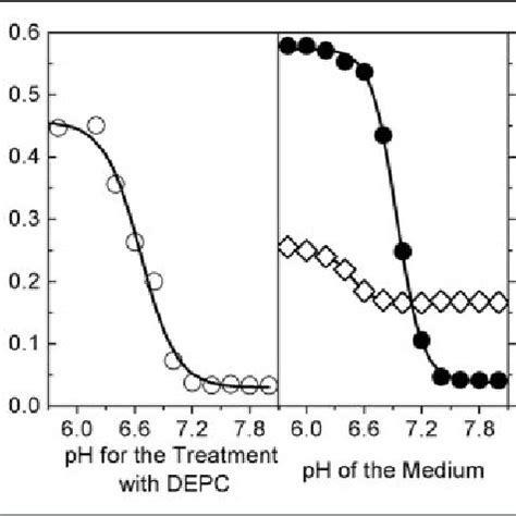 Effect Of Carbethoxylation And N Acetylation On The Ability Of Cyt C To