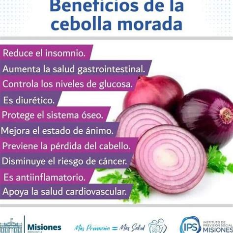 Descubre Los Impresionantes Beneficios De La Cebolla