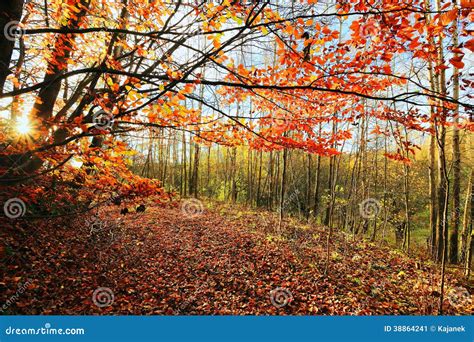 Die Bunte Herbst Landschaft Stockbild Bild Von Wildnis Tschechisch