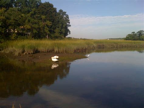 Stony Brook Harbor (near The Village)- Summer | Stony brook, Natural ...