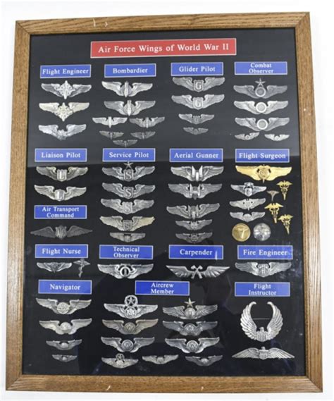 Collection Of Wwii Us Military Air Force Wings Ubicaciondepersonascdmxgobmx