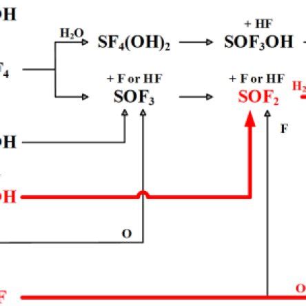 Pathways For The Generation Of Sulphurcontaining Products Red