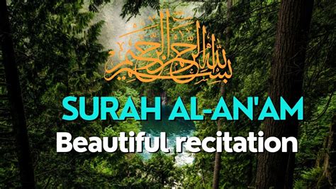 Surah Al An Am