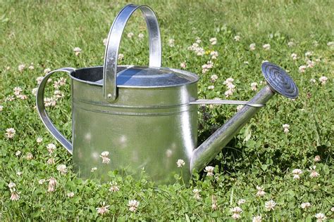 Watering Can Sprinkler Vessel Free Photo On Pixabay