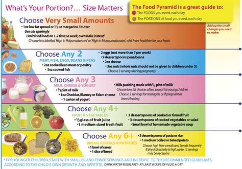 Indian Food Pyramid Food Pyramid