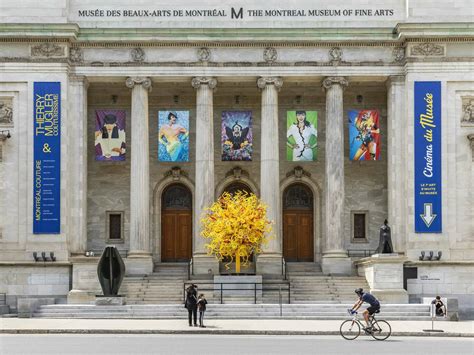 31 Best Museums in Montreal All Year Round