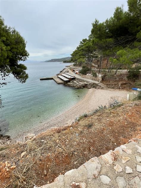 Ein Lebende Ast Labranda Senses Resort Jelsa Hvar HolidayCheck