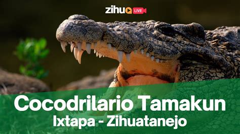 Entrevista con Javier Pérez Sosa desde el Cocodrilario Tamakun en