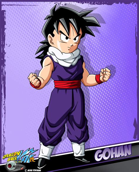 Dragon Ball Z Kid Gohan