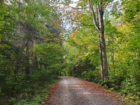 views trails  blind river alltrails