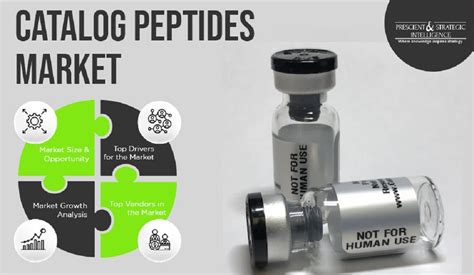 What are the Applications of Catalog Peptides? | by Vijay Mishra | Medium