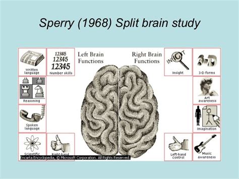 Sperry 1968 Split Brain Study