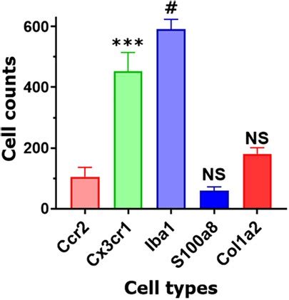 Frontiers Transcriptional Profiles Of Non Neuronal And Immune Cells