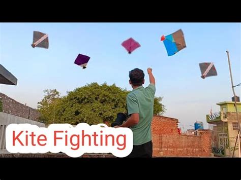 Kite Fighting Kite Cutting Kites Youtube