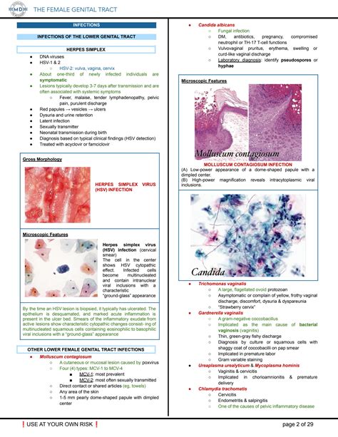 Solution Pathology The Female Genital Tract Studypool