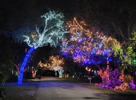 Miami Se Ilumina Para La Navidad Las Mejores Instalaciones De Luces Y