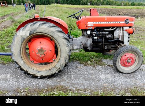 An old Massey Ferguson tractor Stock Photo - Alamy