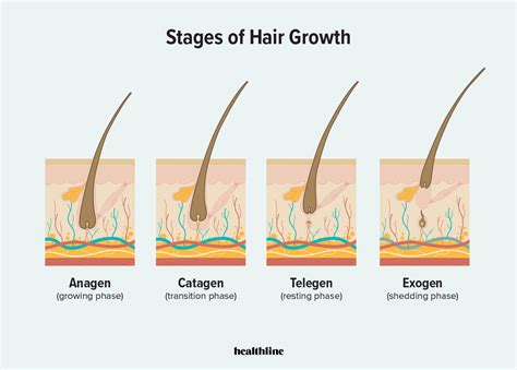 6 Accurate Signs Of Balding How Can I Know If Im Going Bald