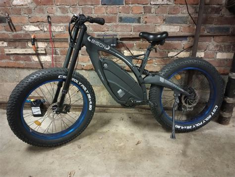 Ecotric 48v 175ah 1000w Big Fat Tire Ebike Bison Matt Black