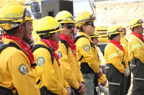 Sedema Y Pc Dan Banderazo A Trabajos Preventivos Y De Combate A