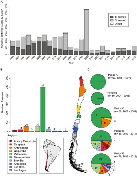 Frontiers Antimicrobial Resistance Dynamics In Chilean Shigella Sonnei Strains Within Two