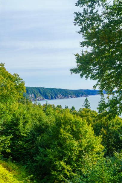 220 Fundy Trail Stock Photos Pictures And Royalty Free Images Istock