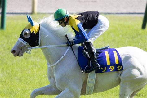 【秋華賞】出走馬の調教後の馬体重 その他競技 スポーツブル スポブル