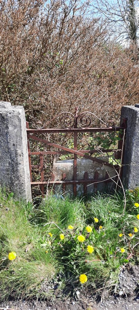 Galway Forged Gates Project Galway County Heritage Office