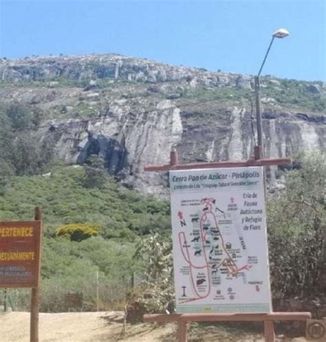 Reserva De Fauna Del Cerro Pan De Azucar Archivos Pan De Azucar Web