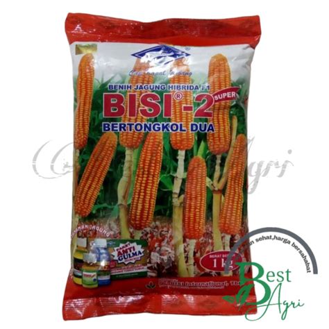 Jual Benih Jagung Hibrida F1 Super Bisi 2 Kemasan 1 Kg Cap Kapal