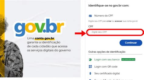 Carteira Do Idoso O Que E Como Solicitar A Sua Pela Internet