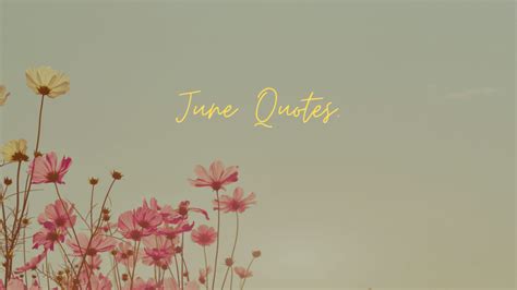 June Quotes. - MELTBLOGS