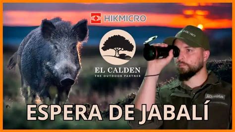 Espera De Jabal Con El Cald N Prueba De Caza Del Monocular T Rmico