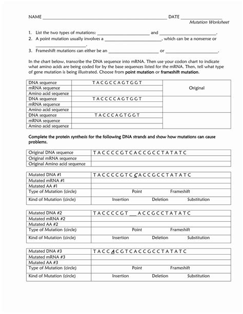 Types Of Mutations Worksheet Key