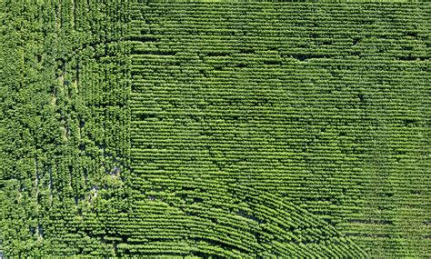 largest country   world  land area