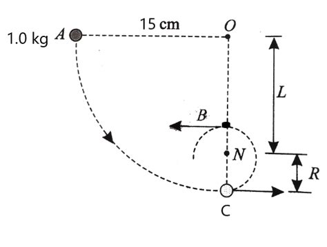 Solved A Ball Weighing Kg Is Tied To A String Cm Long