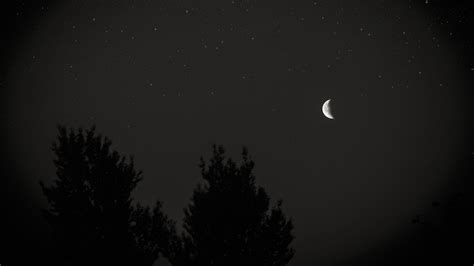 Download wallpaper 3840x2160 moon, night, sky, tree, stars, dark 4k uhd 16:9 hd background