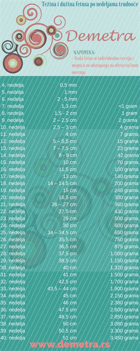 Težina i dužina fetusa kroz 40 nedelja trudnoće Demetra portal za