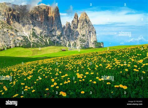 Alm Spring Hi Res Stock Photography And Images Alamy