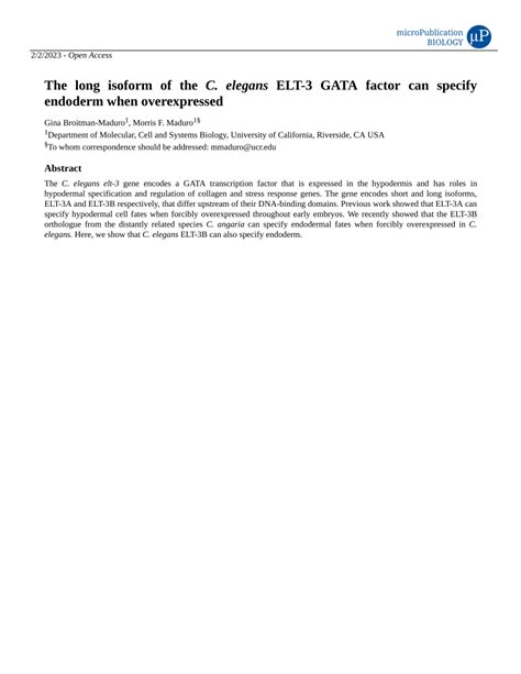 Pdf The Long Isoform Of The C Elegans Elt Gata Factor Can Specify