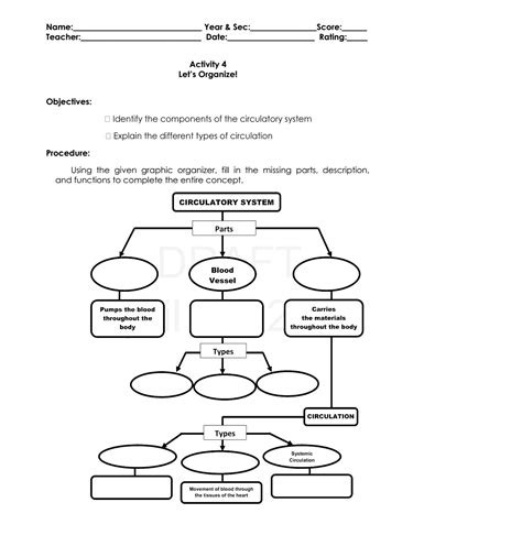 Science Concepts and Questions (K to 12): Circulatory System Activities