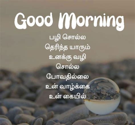 38 Lovely Tamil Good Morning Wishes Good Morning Wishes