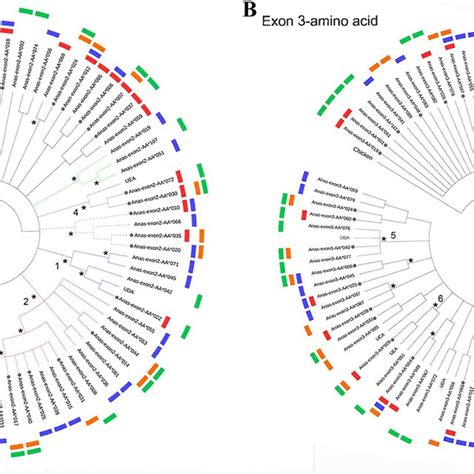 Phylogenetic Tree Of Mhc Class I Exon A And Exon B In Anatidae