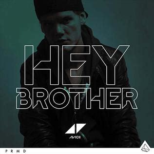 El Significado Profundo De La Letra De Hey Brother Por Avicii Una