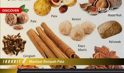 Intip 7 Manfaat Rempah Pala Yang Jarang Diketahui Jurnal