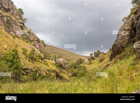 View From A Sheltered Valley Of Ominous Storm Clouds Starting To Gather Over The Afroalpine